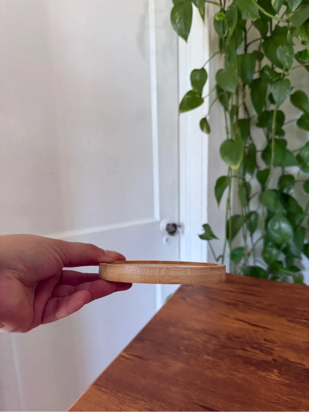Natural Bamboo Soap Dish - Light Wood